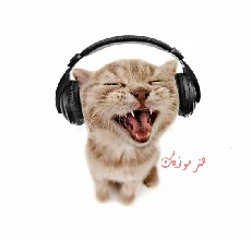 دانلود آهنگ گروه ایهام امشب دانلود آهنگ گروه ایهام امشب