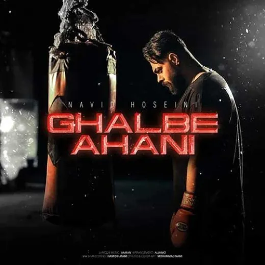 دانلود آهنگ خونه ای که ساختم برات تو آسمونا بود الان تو‌گله نوید حسینی ترند شاد ریمیکس کیفیت بالا